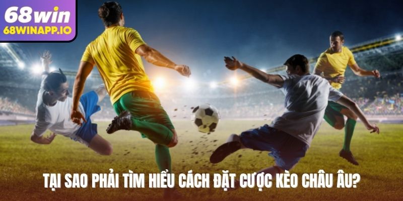 Tại sao phải tìm hiểu cách đặt cược kèo châu Âu?